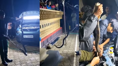 വയനാട്ടിൽ വീട്ടുമുറ്റത്ത് നിര്ത്തിയിട്ട കാറിൽ കേറിയ രാജവെമ്പാല ബോണറ്റിൽ 'കുടുങ്ങി'