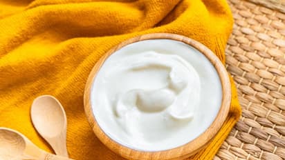 చలికాలంలో దగ్గు, జలుబు ఉంటే పెరుగును తినొచ్చా? లేదా.. అసలు ఈ సీజన్ లో పెరుగును తినడం సేఫేనా?  