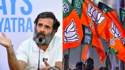 രാഹുൽ ഗാന്ധിക്കെതിരെ രാജ്യവ്യാപക പ്രതിഷേധത്തിന് ബിജെപി; ഒബിസി വിഭാഗത്തെ അപമാനിച്ചെന്ന പ്രചാരണം ശക്തമാക്കും