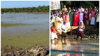 ഭൂമാഫിയയിൽ നിന്ന് ഭൂമി തിരിച്ചുപിടിച്ച് കൃഷി ഇറക്കി വെച്ചൂർ പഞ്ചായത്ത്,25ഏക്കറിലെ കൃഷി 26വർഷത്തിന് ശേഷം