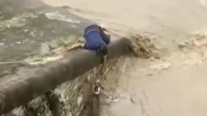 നായയെ രക്ഷിക്കാൻ ജീവൻ പണയപ്പെടുത്തുന്ന മനുഷ്യൻ; വീഡിയോ...