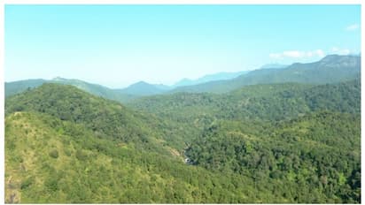 ബഫർ സോൺ : 'ആരെയും കുടിയിറക്കില്ല, കൃഷി വിലക്കില്ല'; വിശദീകരിച്ച് കേന്ദ്ര വനം പരിസ്ഥിതി മന്ത്രായലം  