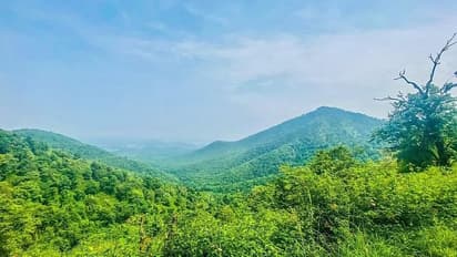 mandya : ಕಾಮಗಾರಿ ಹೆಸರಿನಲ್ಲಿ ಬೆಟ್ಟಗುಡ್ಡಗಳ ಬಗೆದು ಪರಿಸರ ನಾಶ