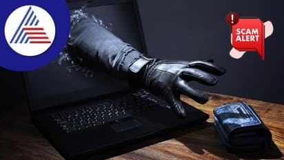 ವರ್ಷಾಂತ್ಯದ ಆಫರ್ ಗಳಿಗೆ ಮರುಳಾಗಿ ಆನ್ ಲೈನ್ ಖರೀದಿ ಮಾಡೋವಾಗ ಈ 5 ಟಿಪ್ಸ್ ಪಾಲಿಸಿ, ವಂಚನೆಯಿಂದ ಪಾರಾಗಿ!