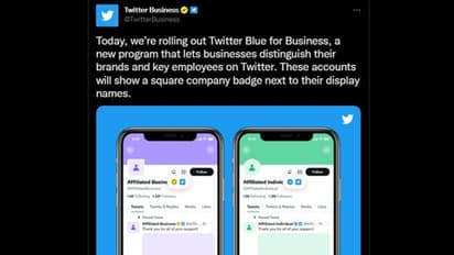 Twitter introduces 'Blue For Business' with square badges, grey tick for govt accounts