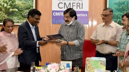 ഫാറ്റിലിവറിനെ ചെറുക്കാനുള്ള സിഎംഎഫ്ആർഐയുടെ കടൽപായൽ ഉൽപന്നം വിപണിയിലേക്ക്