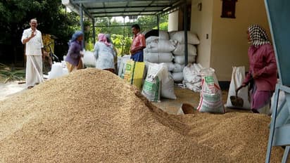കടമെടുത്ത് രണ്ടാം വിളയിറക്കി; നെല്ലിന്റെ വില വിതരണം വൈകുന്നു, കര്ഷകര് ദുരിതത്തില്