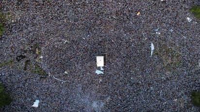 അർജന്‍റീനയുടെ വിക്‌ടറി പരേഡ് അലങ്കോലം; തുറന്ന ബസിലേക്ക് എടുത്തുചാടി ആരാധകർ, സംഘര്‍ഷം, പരിക്ക്, അറസ്റ്റ്