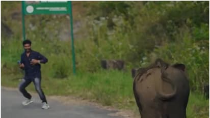 വനംവകുപ്പിന്റെ നിര്ദ്ദേശങ്ങള്ക്ക് പുല്ലുവില; ആനക്കുട്ടിയുടെ ഫോട്ടെയെടുക്കാന് തിരക്ക്, പാഞ്ഞടുത്ത് കാട്ടാന