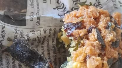 பருப்பு வடைக்குள் இருந்த சுண்டெலி; வாடிக்கையாளர் அதிர்ச்சி