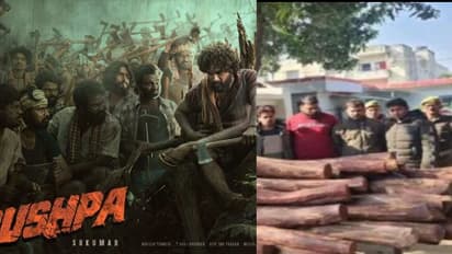 'പുഷ്പ' മോഡലില്‍ ചന്ദനക്കടത്ത്; രണ്ടു കോടിയുടെ  രക്തചന്ദനവുമായി ഏഴംഗ സംഘം പിടിയില്‍