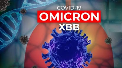కరోనా కల్లోలం సృష్టిస్తున్న XBB.1.5 వేరియంట్ భారత్ లోనూ గుర్తింపు.. ఎందుకు ఇది ప్రమాదకరమైంది?