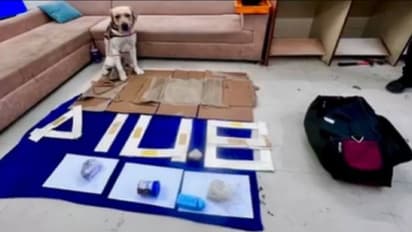 ഉഗാണ്ടയിൽ നിന്ന് അഞ്ചരക്കോടിയുടെ മയക്കുമരുന്നുമായി എത്തിയ യുവതിയെ സ്നിഫര്‍ ഡോഗ് പിടികൂടി