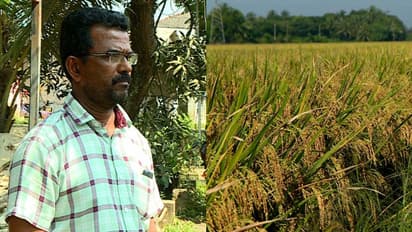 കര്‍ഷകര്‍ക്ക് പണം കൊടുക്കാതെ സര്‍ക്കാര്‍; ആലപ്പുഴ ജില്ലയില്‍ നല്‍കാനുള്ളത് ഏകദേശം 50 കോടി രൂപ