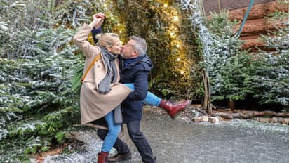 क्रिसमस पर 'मिसल्टो ट्री' के नीचे प्रेमी जोड़े करते हैं KISS, जानें इस चमत्कारी पेड़ की कहानी