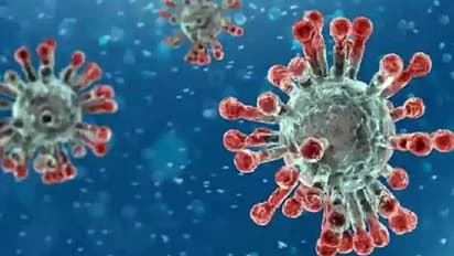 ഇന്ത്യയിലും പുതിയ കൊവിഡ് വകഭേദം; അറിയാം ലക്ഷണങ്ങളെ കുറിച്ച്...