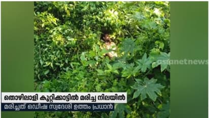 പട്ടാമ്പി റെയില്വേ സ്റ്റേഷന് സമീപത്തെ കുറ്റിക്കാട്ടില് ഇതര സംസ്ഥാന തൊഴിലാളി മരിച്ച നിലയില്