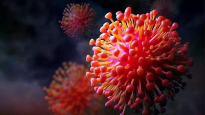 അഞ്ച് മടങ്ങ് വ്യാപനശേഷി; ഒമിക്രോണിന്‍റെ ഈ വകഭേദത്തെ കുറിച്ചുള്ള വാട്സാപ്പ് സന്ദേശം വ്യാജമെന്ന് ആരോ​ഗ്യവകുപ്പ്