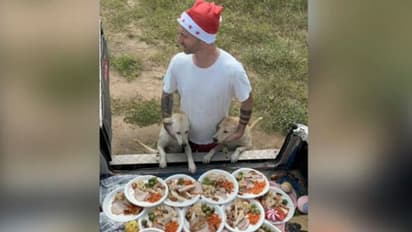 തെരുവുനായ്ക്കൾക്കായി ക്രിസ്മസ് സമ്മാനങ്ങളും ഭക്ഷണവും തയ്യാറാക്കി യുവാവ്; വീഡിയോ  