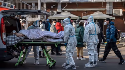 Leaked document suggests 250 million fresh cases in just 20 days in China; Beijing stops publishing daily data