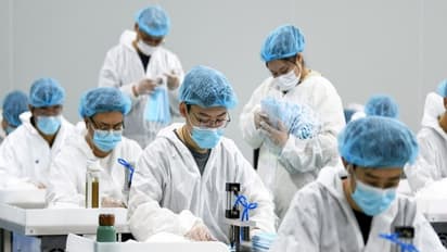 HKU5 CoV 2, പുതിയ കൊറോണ വൈറസിനെ കണ്ടെത്തി ഗവേഷകർ, മനുഷ്യര് ഭയക്കേണ്ടതുണ്ടോ, വിദഗ്ധർ പറയുന്നതിങ്ങനെ