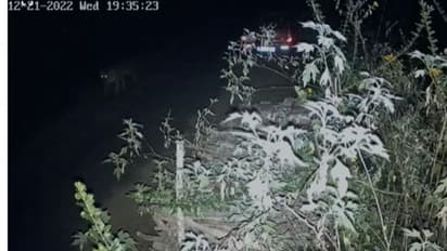 വയനാട്ടില്‍ വീണ്ടും കടുവയിറങ്ങി; നടുറോഡിലൂടെ നടന്ന് പോകുന്ന ദൃശ്യം സിസിടിവിയില്‍, ഭീതിയോടെ നാട്ടുകാര്‍