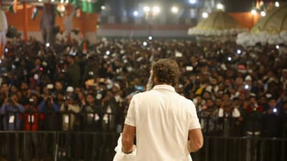 Its BJP vs Congress over Covid as Rahul Gandhi's Bharat Jodo Yatra enters Delhi