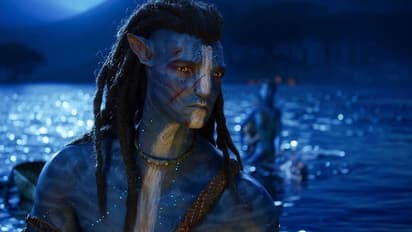 Avatar 2 Collections: తెలుగు స్టేట్స్, ఇండియా కలెక్షన్లు, ఓటీటీ డిటెయిల్స్.. 