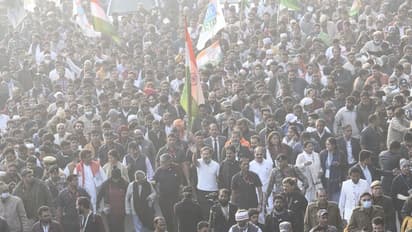 ಭಾರತ್‌ ಜೋಡೋ ಯಾತ್ರೆ ಪುನಾರಂಭ ಯುಪಿಯಲ್ಲಿ ರಾಹುಲ್‌ಗೆ ಭರ್ಜರಿ ಸ್ವಾಗತ