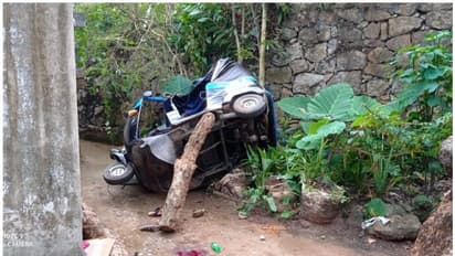 കൊല്ലത്ത് ഓട്ടോറിക്ഷ നിയന്ത്രണം വിട്ട് താഴ്ചയിലേക്ക് മറിഞ്ഞു; ഒരാൾ മരിച്ചു, മൂന്ന് പേര്ക്ക് പരിക്ക്