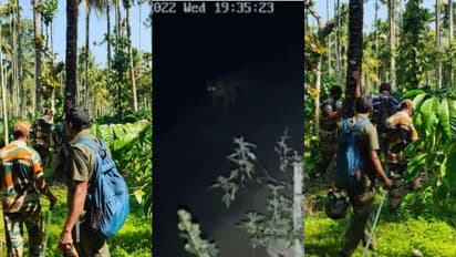 പുല്പ്പള്ളിയില് കരടി, അമ്പലവയലില് കടുവ; ഒന്നിലധികം കടുവയെന്ന് നാട്ടുകാര്, നട്ടംതിരിഞ്ഞ് വനംവകുപ്പ്