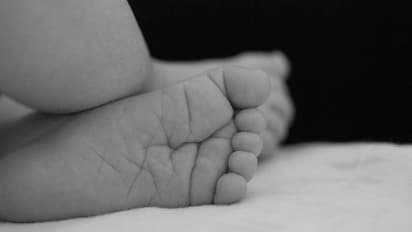 సంచిని ఎత్తుకెళ్తున్న కుక్క.. దానిని ఆపి సంచిని తెరిచి చూడటంతో షాక్... అందులో ఏముందంటే ? 