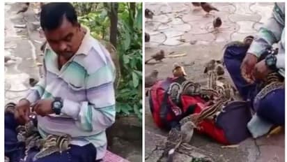 'ഹാ, എത്ര മനോഹരമീ കാഴ്ച' ; അണ്ണാനും പക്ഷികൾക്കും ഭക്ഷണം നൽകുന്ന യുവാവ് ; വീഡിയോ കാണാം