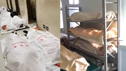 लाशों से पटा चीन, गोदामों में रखी जा रहीं डेडबॉडी; इन 7 प्रांतों में हो रहीं सबसे ज्यादा मौतें