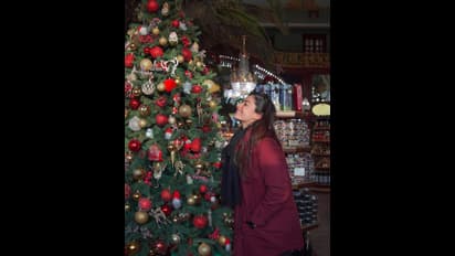 ராஷ்மிகா முதல் ரம்யா பாண்டியன் வரை... சினிமா நடிகைகளின் கிறிஸ்துமஸ் ஸ்பெஷல் போட்டோஸ் இதோ