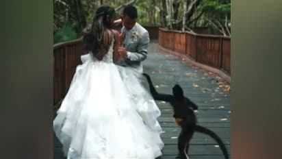 വിവാഹ ഫോട്ടോഷൂട്ടിനിടെ അപ്രതീക്ഷിത സംഭവം; വീഡിയോ...