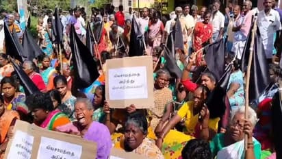 பச்சை பசேல் என காட்சியளிக்கும் நெல் வயல்கள்… விமான நிலையம் அமைக்கப்பட உள்ள கிராமத்தின் கதை!!