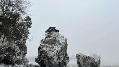 बर्फ में दफन हुआ आधा अमेरिका,ठंड से ठिठुर कर मरे 28 से अधिक लोग, इस पीढ़ी के सबसे भयंकर बर्फीले तूफान की PICS