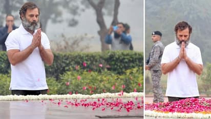 भारत जोड़ो यात्रा से ब्रेक लेकर अटलजी को श्रद्धांजलि देने पहुंचे राहुल गांधी, BJP ने उठाया बड़ा सवाल