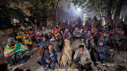 As North India reels under intense cold wave, dense fog envelops Delhi; check details