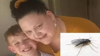 ചെറുപ്രാണിയുടെ കടിയേറ്റു, കാൽ മുറിച്ചുമാറ്റേണ്ടുന്ന അവസ്ഥ വരെയെത്തി, യുവതി 13 വർഷം സഹിച്ചത് കൊടുംവേദന