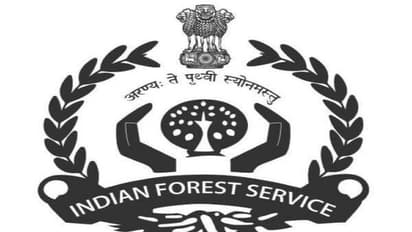 UPSC ने जारी किया भारतीय वन सेवा की मुख्य परीक्षा का परिणाम, 5 स्टेप्स में समझिए कैसे डाउनलोड होगा रिजल्ट