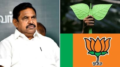 AIADMK : பாஜக வேண்டாம்.. கதறிய சீனியர்கள்! கடுப்பான எடப்பாடி பழனிசாமி - அதிமுக கூட்டத்தில் நடந்தது என்ன?