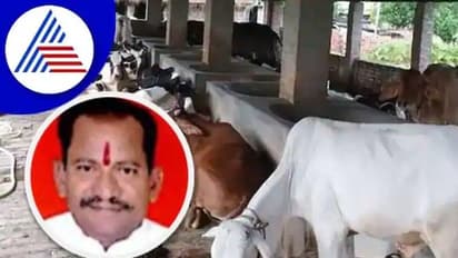 ಸವದತ್ತಿ ಯಲ್ಲಮ್ಮ ಗುಡ್ಡದಲ್ಲಿ ಶೀಘ್ರ ಸರ್ಕಾರಿ ಗೋಶಾಲೆ: ಚವ್ಹಾಣ್