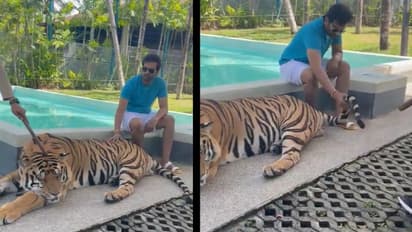 புலி வாலை பிடித்தபடி வீடியோ போட்டு சர்ச்சையில் சிக்கிய சந்தானம்... புரட்டி எடுக்கும் நெட்டிசன்கள்