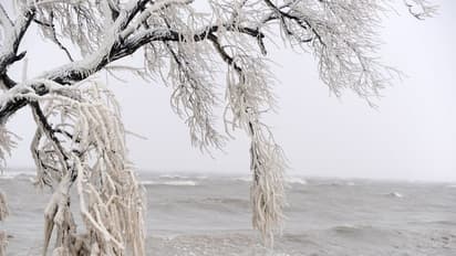 உறைபனி ஏரியில் தவறி விழுந்த இந்தியத் தம்பதி பரிதாபச் சாவு