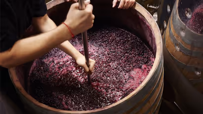 ஒயின் குடிப்பது நல்லதா? கெட்டதா? வெளியான அதிர்ச்சி தகவல்கள்!