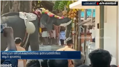 പാലക്കാട് കിഴക്കഞ്ചേരിയില് ഉത്സവത്തിനിടെ ആന ഇടഞ്ഞു