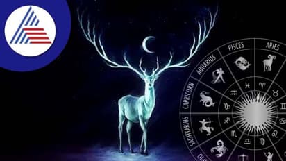 ಮೃಗಶಿರಾ ನಕ್ಷತ್ರ ನಿಮ್ಮದಾ? ಆರೋಗ್ಯದ ಬಗ್ಗೆ ಇರಲಿ ಎಚ್ಚರ!