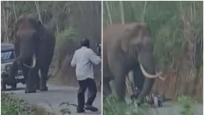 വീണ്ടും പടയപ്പ; ഇത്തവണ രണ്ട് ബൈക്കുകള്‍ തകര്‍ത്തു 